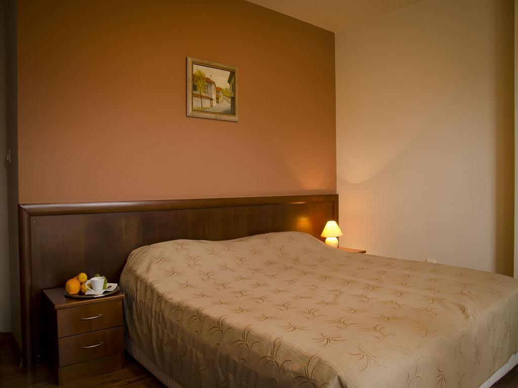 Bizev Hotel Bansko Værelse billede